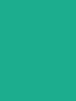 #1caf8e color image