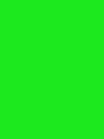 #1ce91e color image