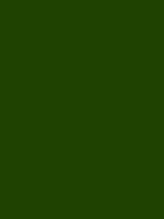 #1f4201 color image