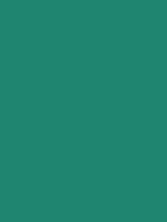 #1f8570 color image