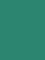 #2c8570 color image