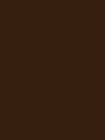 #371f10 color image