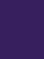 #371f5e color image