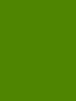 #4f8501 color image