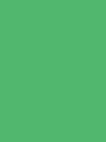 #4fb46e color image