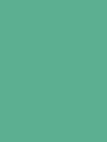 #5caf91 color image