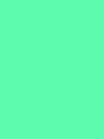 #5cfbad color image