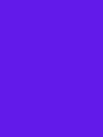 #611aea color image