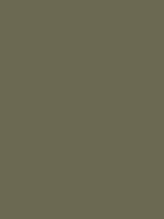 #6c6952 color image