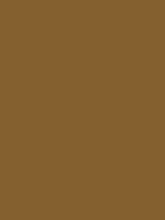 #84602f color image