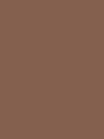 #84604e color image