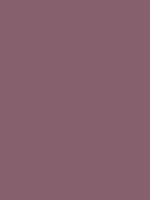 #84606e color image