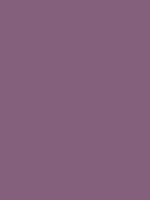 #84607c color image