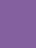 #84609f color image