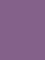 #84618a color image