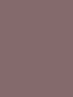 #846a6c color image