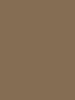 #846d52 color image