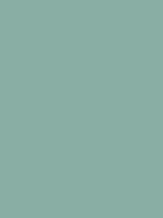 #89aea4 color image