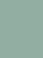 #92aea2 color image