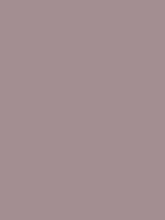 #a38e91 color image