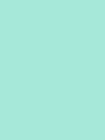 #a6e8d9 color image