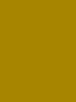 #a78501 color image