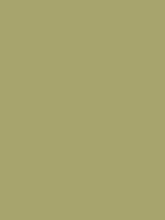 #a7a46d color image