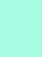 #a7fbe0 color image