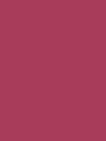 #a83c5a color image