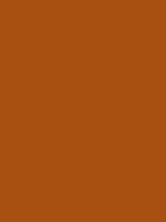 #a85011 color image
