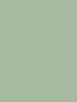 #a8bba1 color image