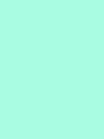 #a9fbe1 color image