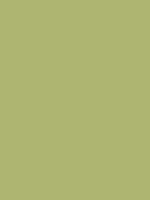 #acb46f color image