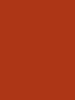 #ae3816 color image