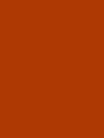 #af3801 color image