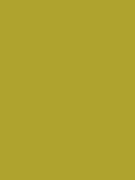 #afa32e color image
