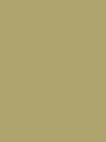 #afa46e color image