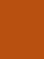 #b85010 color image