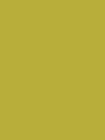 #b8ae3a color image