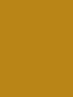 #b98517 color image