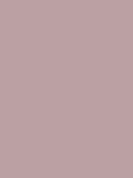 #bba0a3 color image