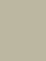 #bbb7a1 color image