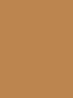 #bc854f color image