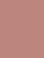 #bc857e color image