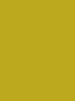 #bca91e color image