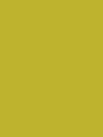 #beb32e color image