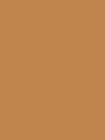 #bf854c color image