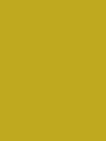 #bfa91e color image