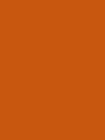 #c8570f color image