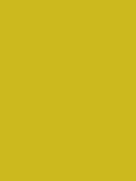 #ccb91e color image